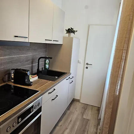 Apartment Stadtoase Iii